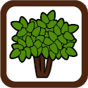 Germination Icon