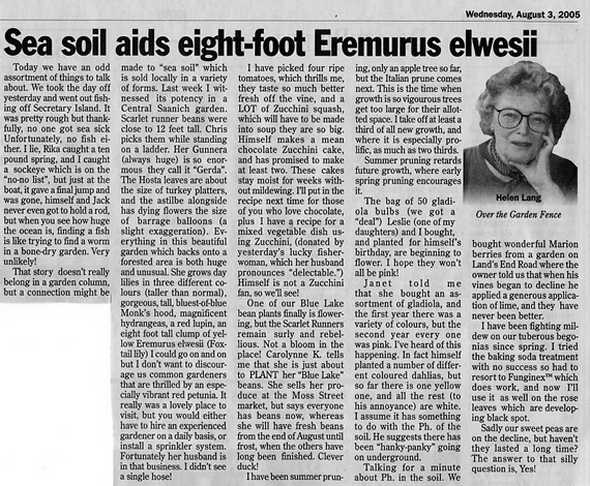 Sea Soil Aids Eight-Foot Eremurus Elwesii by Helen Lang
